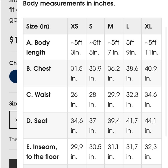 State of Elevenate Women's Versatility Shorts - Picture 10 of 10